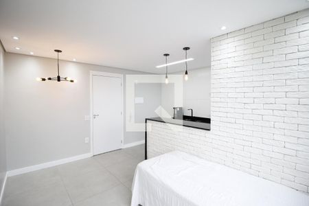 Sala de apartamento para alugar com 2 quartos, 44m² em Jardim Novo Santo Amaro, São Paulo