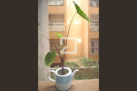 Apartamento para alugar com 104m², 3 quartos e 2 vagasvista da Cozinha