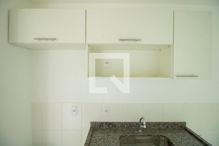 Apartamento para alugar com 47m², 2 quartos e 1 vagaCozinha - Armários