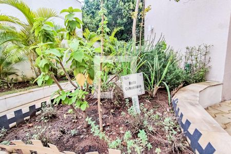 Apartamento à venda com 60m², 2 quartos e 1 vagaHorta