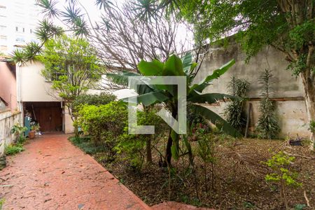 Casa à venda com 235m², 4 quartos e 3 vagasQuintal