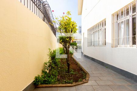 Casa para alugar com 384m², 3 quartos e 2 vagasJardim