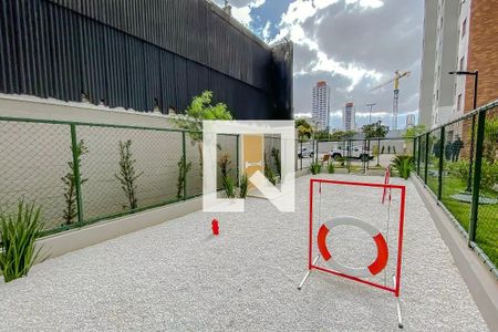 Apartamento para alugar com 30m², 1 quarto e sem vaga Apartamento para alugar com 30m², 1 quarto e sem vagaEspaço Pet