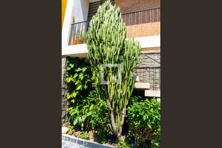 Casa à venda com 250m², 3 quartos e 3 vagasJardim