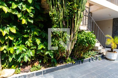 Casa à venda com 250m², 3 quartos e 3 vagasJardim