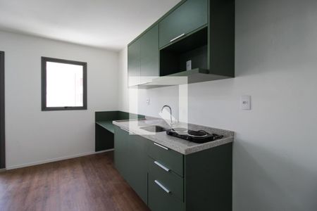 Apartamento para alugar com 21m², 1 quarto e sem vagaCozinha