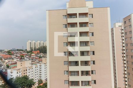 Varanda de apartamento para alugar com 2 quartos, 50m² em Jardim Jaqueline, São Paulo