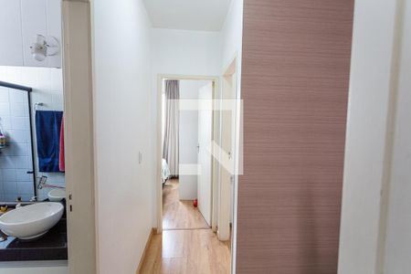 Corredor de apartamento para alugar com 3 quartos, 74m² em Sagrada Família, Belo Horizonte