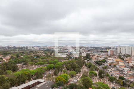 Apartamento para alugar com 45m², 1 quarto e 1 vagaÁrea comum - Vista da Churrasqueira
