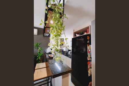 Apartamento à venda com 87m², 3 quartos e 1 vaga Apartamento à venda com 87m², 3 quartos e 1 vagaCozinha - Armários