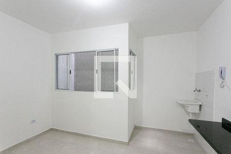 Studio de kitnet/studio para alugar com 1 quarto, 22m² em Cidade Mãe do Céu, São Paulo