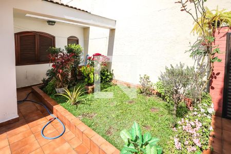 Casa para alugar com 260m², 3 quartos e 5 vagasQuintal