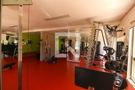 Apartamento para alugar com 70m², 1 quarto e 1 vaga Apartamento para alugar com 70m², 1 quarto e 1 vagaÁrea comum - Academia