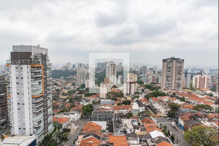 Apartamento para alugar com 40m², 1 quarto e 1 vagaVista do terraço