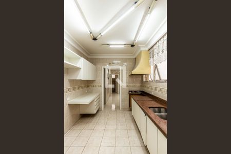 Apartamento à venda com 323m², 4 quartos e 2 vagasCozinha