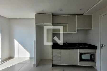 Detalhe cozinha de apartamento para alugar com 1 quarto, 34m² em Cambuci, São Paulo