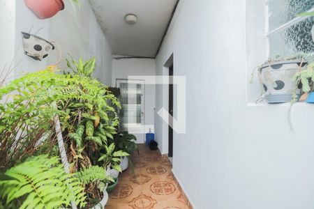 Casa à venda com 120m², 5 quartos e 3 vagasQuintal