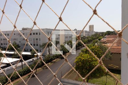 Apartamento para alugar com 67m², 3 quartos e 2 vagas Apartamento para alugar com 67m², 3 quartos e 2 vagasVista Janela Suíte