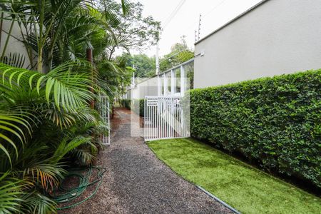 Área Comm - Espaço Pets de apartamento à venda com 1 quarto, 65m² em Jardim São Paulo(zona Norte), São Paulo