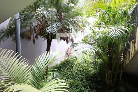 Casa à venda com 540m², 3 quartos e 6 vagasQuintal/Jardim