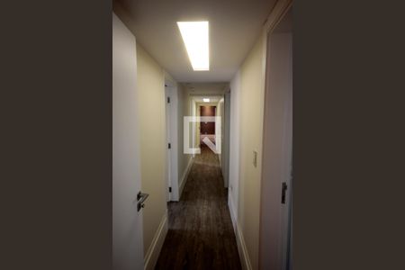 Corredor de apartamento à venda com 3 quartos, 200m² em Cambuci, São Paulo