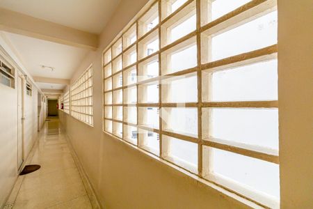 Apartamento à venda com 60m², 2 quartos e 1 vagaHall do Elevador