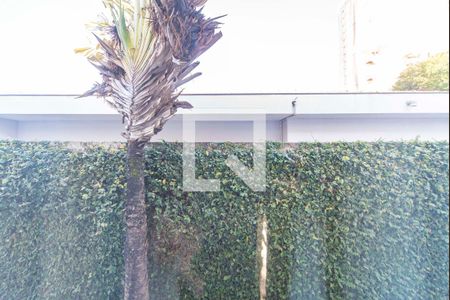 Casa à venda com 900m², 3 quartos e 10 vagasVista do Quarto 2