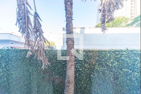 Casa à venda com 900m², 3 quartos e 10 vagasVista da Sala de TV