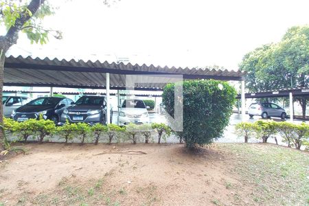 Vista do Quarto de apartamento à venda com 2 quartos, 50m² em Cidade Satélite Íris, Campinas