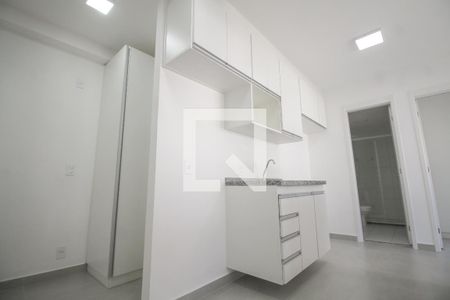Apartamento para alugar com 38m², 2 quartos e sem vagaCozinha - Armários