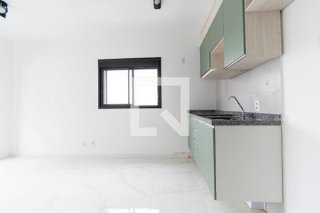 Apartamento para alugar com 29m², 1 quarto e 1 vagaCozinha 