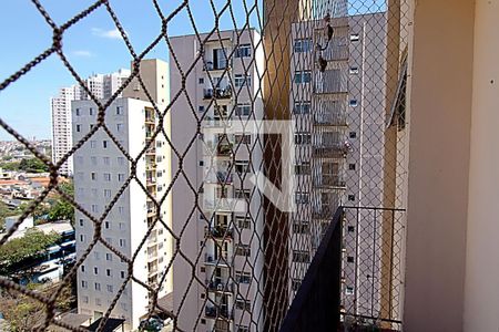 Varanda da Sala de apartamento para alugar com 2 quartos, 51m² em Jardim Umarizal, São Paulo