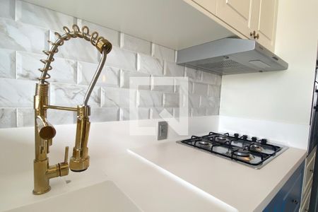 Apartamento para alugar com 61m², 2 quartos e 1 vagaCozinha - Torneira