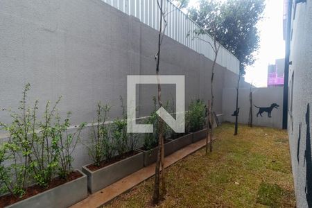 Studio para alugar com 24m², 1 quarto e sem vagaPet Place