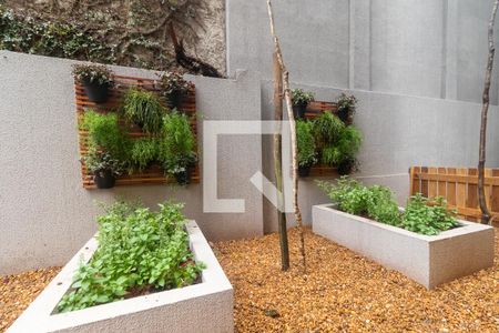 Studio para alugar com 24m², 1 quarto e sem vagaHorta