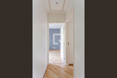 Corredor de apartamento para alugar com 2 quartos, 69m² em Vila Valparaíso, Santo André