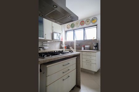 Apartamento à venda com 310m², 4 quartos e 2 vagasCozinha