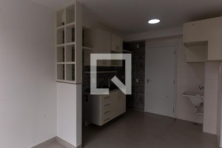 Cozinha de apartamento para alugar com 2 quartos, 36m² em Barra Funda, São Paulo