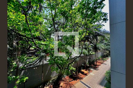 Vista de apartamento para alugar com 2 quartos, 34m² em Santo Amaro, São Paulo