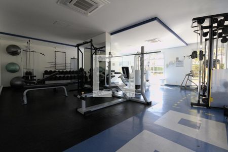 Apartamento à venda com 78m², 3 quartos e 1 vaga Apartamento à venda com 78m², 3 quartos e 1 vagaÁrea comum - Academia