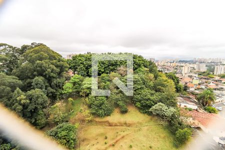 Vista da Varanda de apartamento à venda com 2 quartos, 54m² em Jardim Caboré, São Paulo
