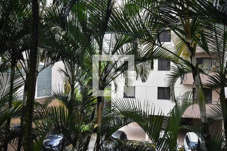 Apartamento à venda com 70m², 3 quartos e 1 vagaVista do quarto 1