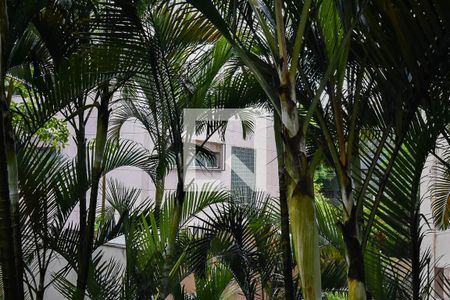 Apartamento à venda com 70m², 3 quartos e 1 vagaVista do quarto 2