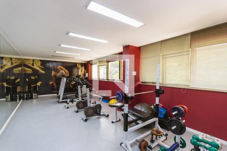 Apartamento para alugar com 117m², 3 quartos e 2 vagas Apartamento para alugar com 117m², 3 quartos e 2 vagasAcademia