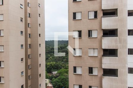 Vista da Varanda de apartamento para alugar com 2 quartos, 54m² em Jardim Maria Helena, Barueri