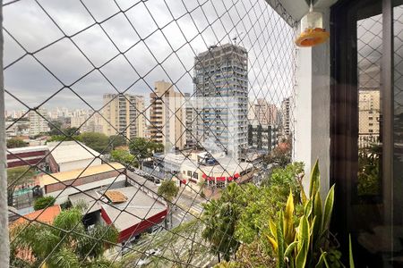 Apartamento à venda com 214m², 4 quartos e 3 vagasVista