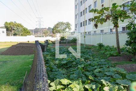 Apartamento para alugar com 44m², 2 quartos e 1 vagaÁrea comum - Horta