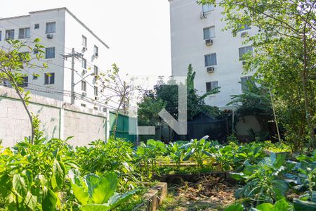 Apartamento para alugar com 44m², 2 quartos e 1 vagaÁrea comum - Horta