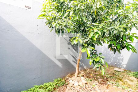 Casa à venda com 480m², 3 quartos e 2 vagas Casa à venda com 480m², 3 quartos e 2 vagasQuintal