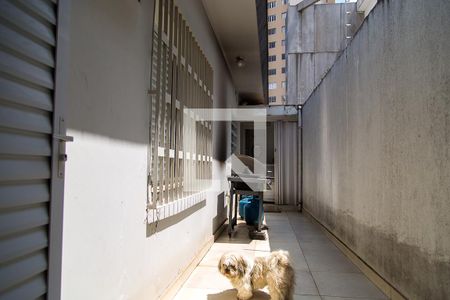 Casa à venda com 200m², 3 quartos e 2 vagasQuintal